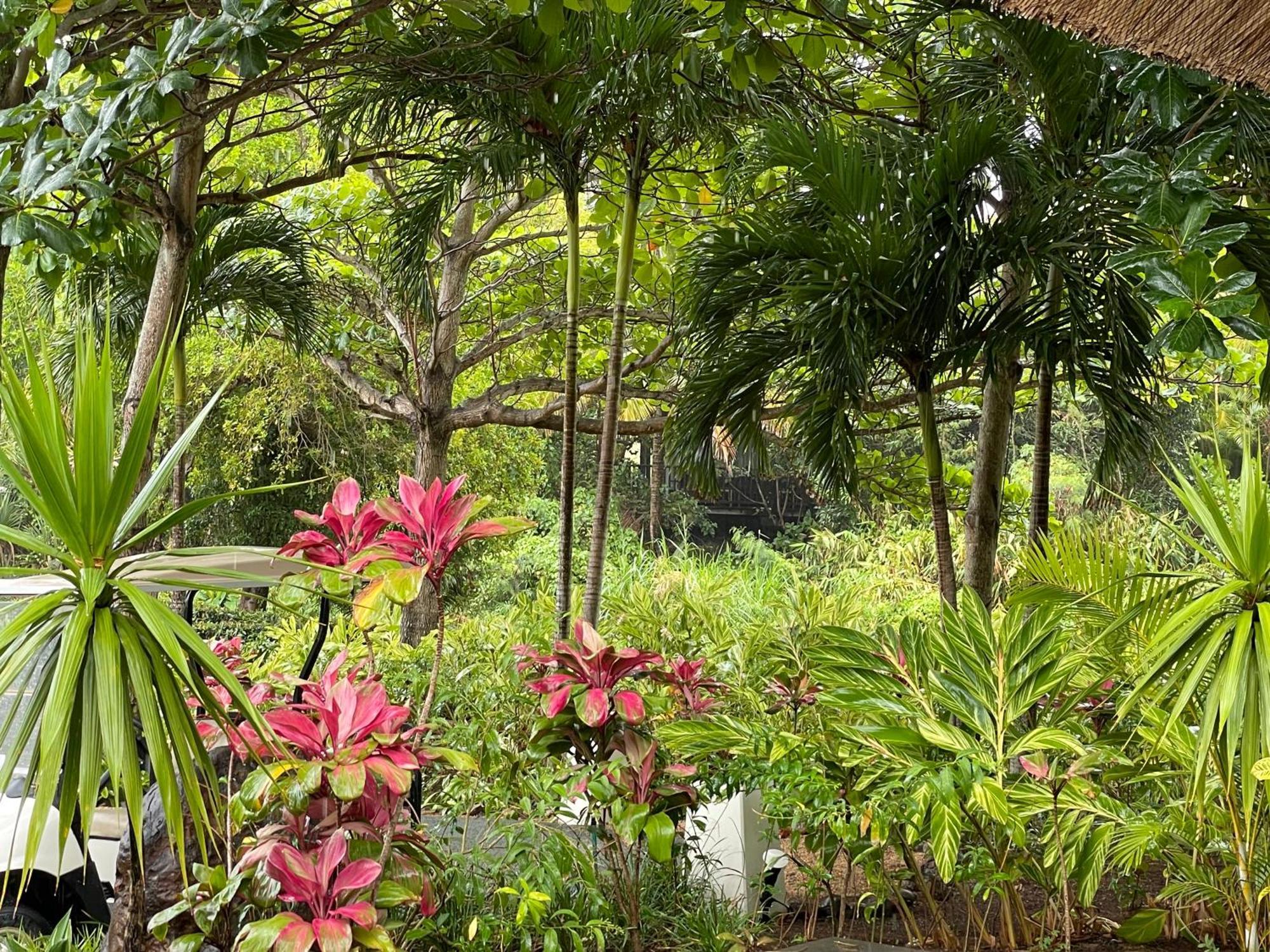 Villa Serenite Bel Ombre Exteriér fotografie