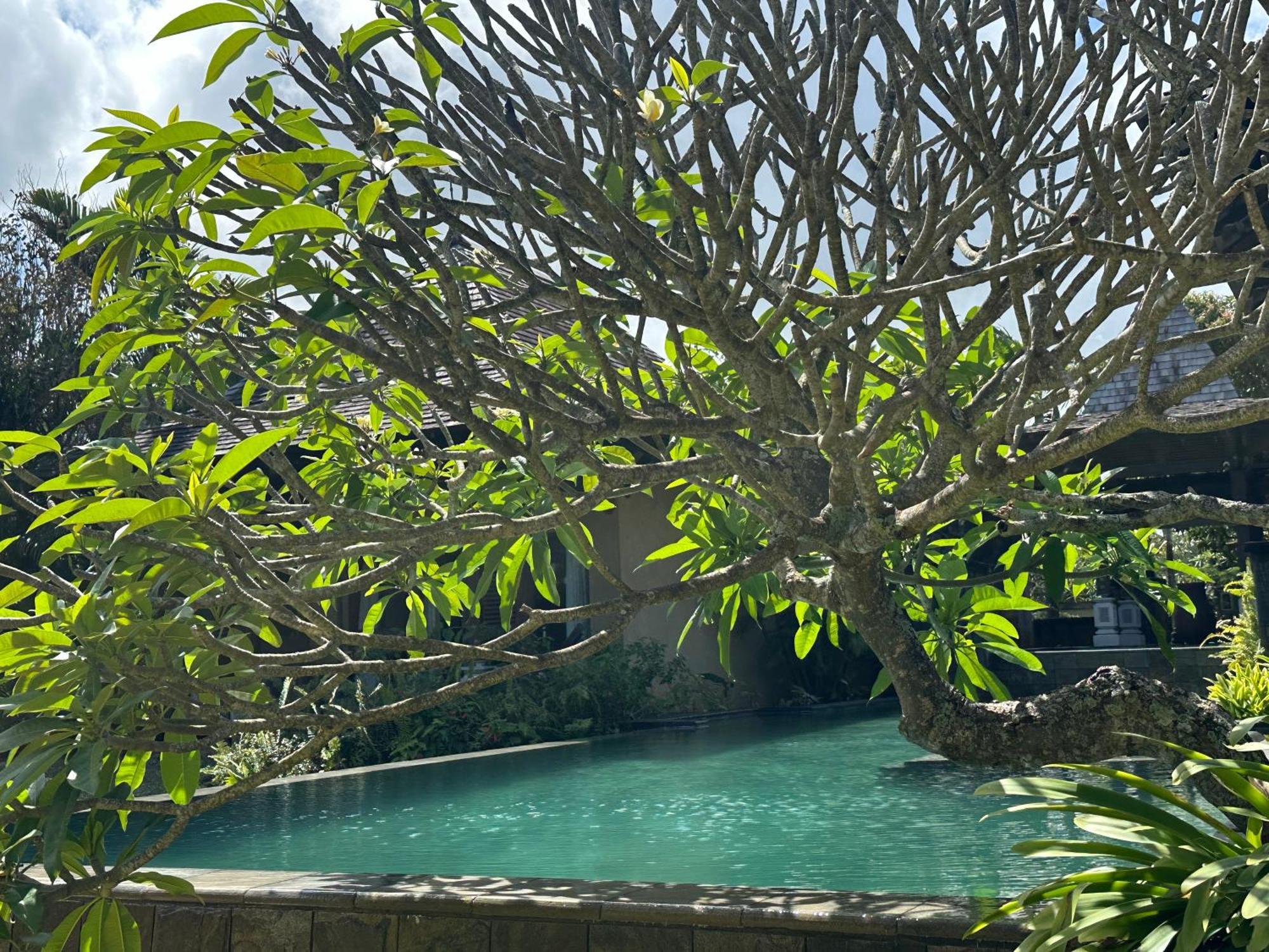 Villa Serenite Bel Ombre Exteriér fotografie